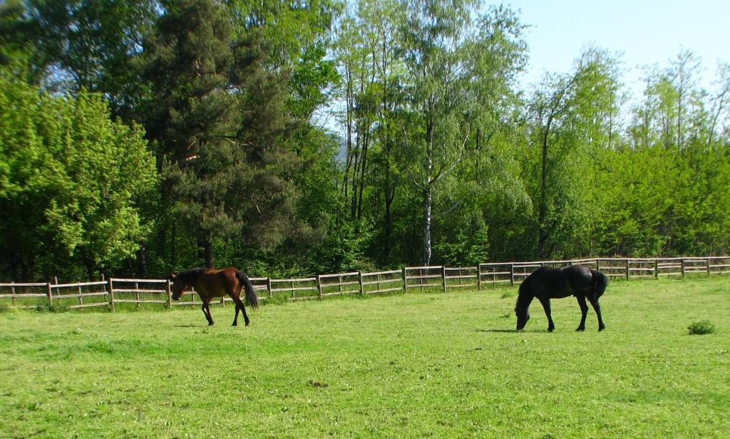 Agriturismo Cassinazza Orsenigo Eksteriør bilde
